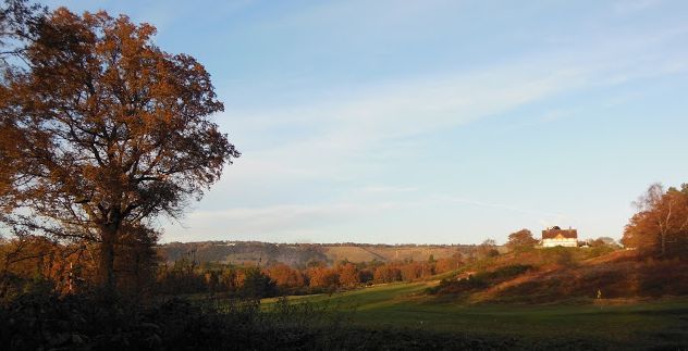 Reigate Heath