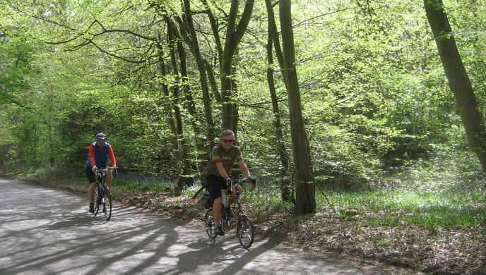 Staffhurst Wood