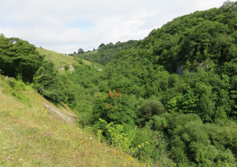 Cressbrook