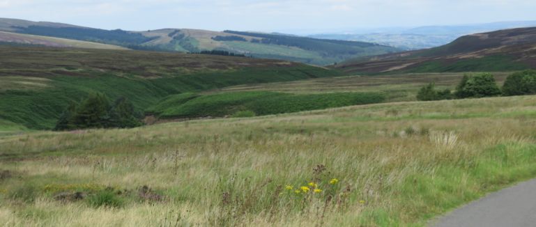 Goyt Valley