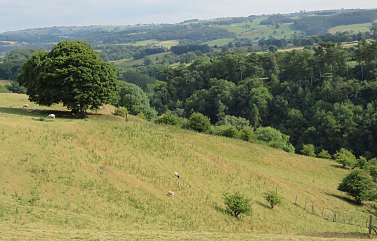 Lathkill Dale