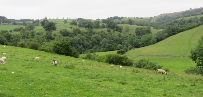 Manifold Valley