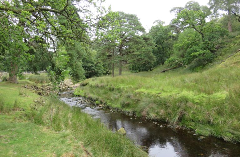 Marshaw Wyre