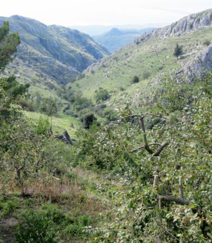 Promontorio del Gargano