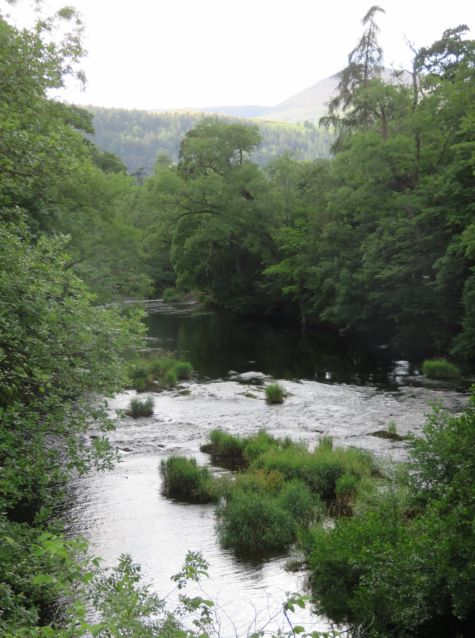 Berwyn
