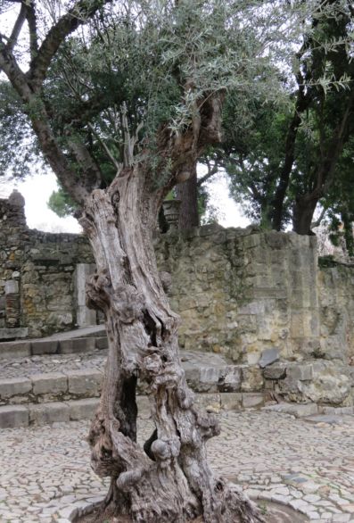 Castelo