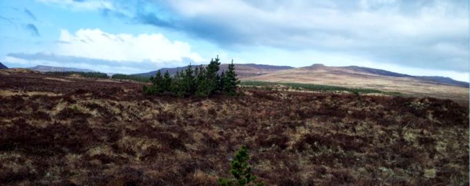 Glen Varragill