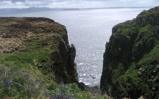 Lunga
