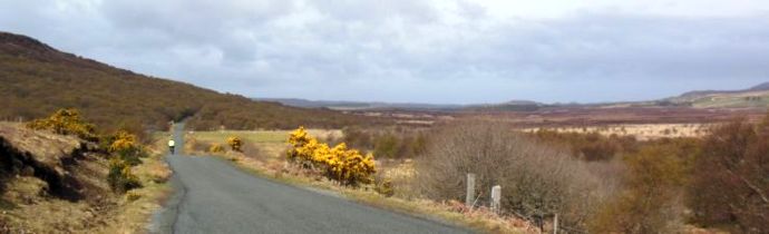 Struan Road