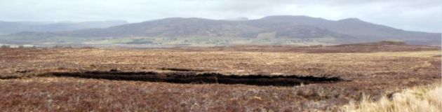 Struan Road
